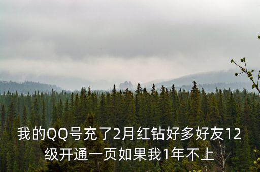 我的QQ號(hào)充了2月紅鉆好多好友12級(jí)開(kāi)通一頁(yè)如果我1年不上