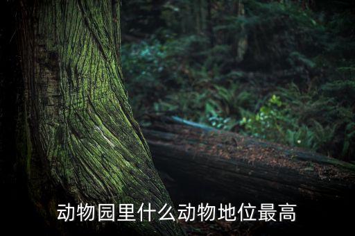 動物園什么動物人氣最高，動物園什么動物地位最高