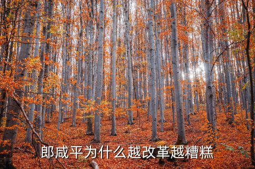 郎咸平為什么越改革越糟糕