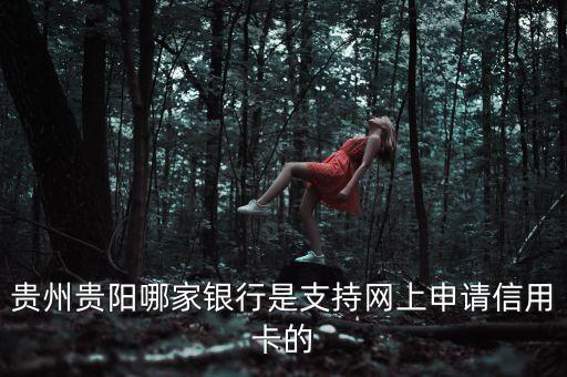 貴州貴陽哪家銀行是支持網(wǎng)上申請(qǐng)信用卡的