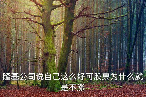 百隆東方為什么不漲，隆基公司說自己這么好可股票為什么就是不漲