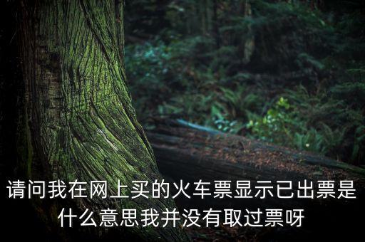 請(qǐng)問(wèn)我在網(wǎng)上買(mǎi)的火車(chē)票顯示已出票是什么意思我并沒(méi)有取過(guò)票呀