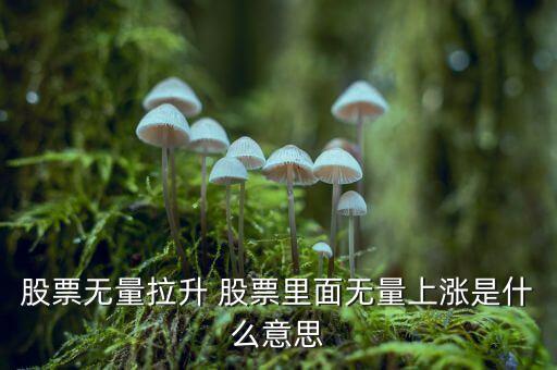 無量上漲是什么意思，無量上漲什么意思