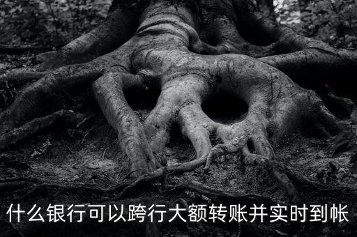 什么銀行轉(zhuǎn)賬金額大，什么銀行的網(wǎng)上銀行單筆交易金額最大