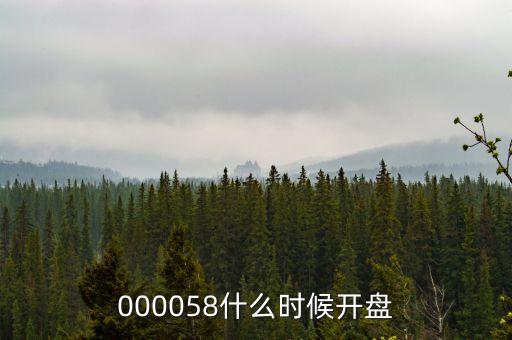 百聯(lián)股份什么時(shí)候開(kāi)盤(pán)，600050000710600515什么時(shí)間開(kāi)盤(pán)啊