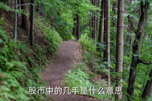 股市中的幾手是什么意思
