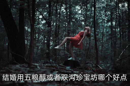 雙溝目前最好的酒是什么，結(jié)婚用五糧醇或者雙溝珍寶坊哪個好點