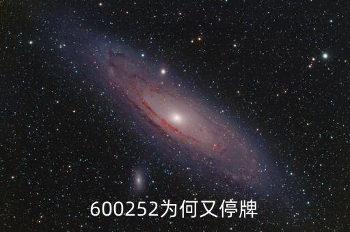 600252為何又停牌