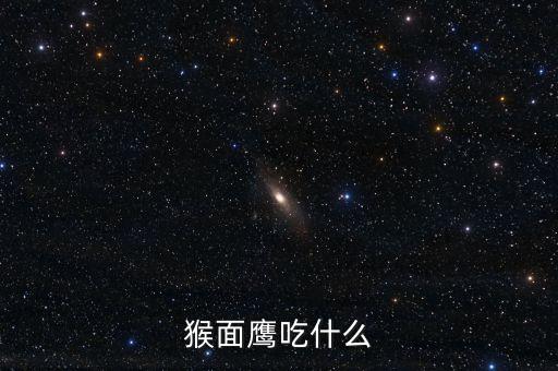 猴面鷹吃什么