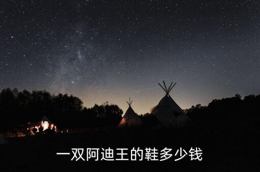 一雙阿迪王的鞋多少錢