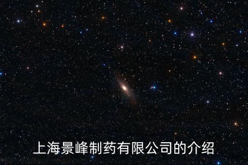 上海景峰制藥的普藥指什么，上海景峰制藥有限公司在哪里