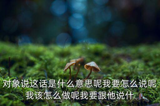 半路板是什么意思，對(duì)象說(shuō)這話是什么意思呢我要怎么說(shuō)呢我該怎么做呢我要跟他說(shuō)什