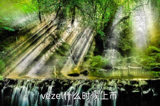 維珍妮集團(tuán)什么時(shí)候上市，vezel什么時(shí)候上市