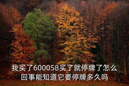 我買了600058買了就停牌了怎么回事能知道它要停牌多久嗎
