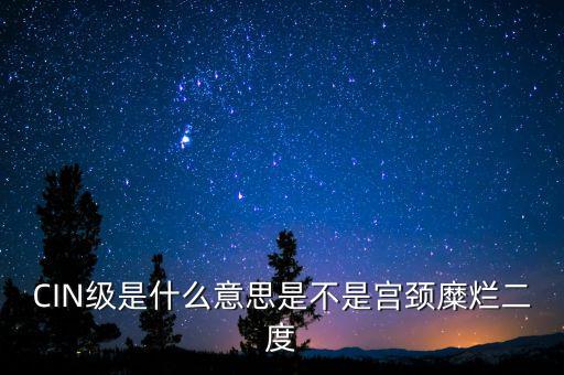 海泰宮靖是什么級別，CIN級是什么意思是不是宮頸糜爛二度