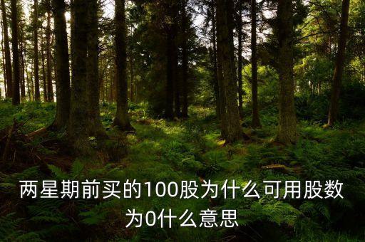 兩星期前買(mǎi)的100股為什么可用股數(shù)為0什么意思