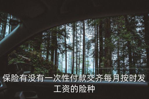 什么保險(xiǎn)可以一次繳費(fèi)，什么保險(xiǎn)一次性交費(fèi)