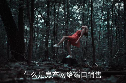 房產(chǎn)端口是什么，什么是房產(chǎn)網(wǎng)絡(luò)端口銷售