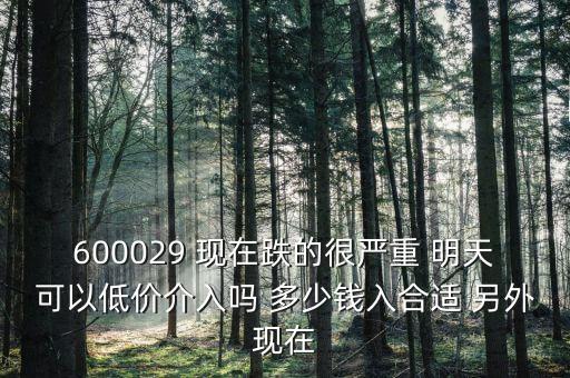 粵傳媒今天什么跌這么厲害，600029 現(xiàn)在跌的很嚴(yán)重 明天可以低價(jià)介入嗎 多少錢入合適 另外現(xiàn)在