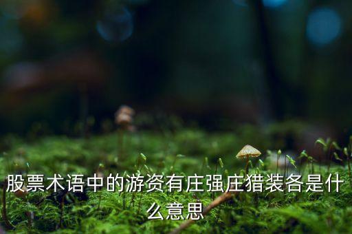 獵莊戰(zhàn)法是什么意思，股票術(shù)語(yǔ)中的游資有莊強(qiáng)莊獵裝各是什么意思