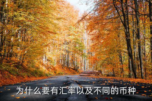 為什么要有匯率以及不同的幣種