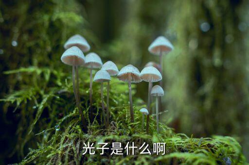 光子是什么啊