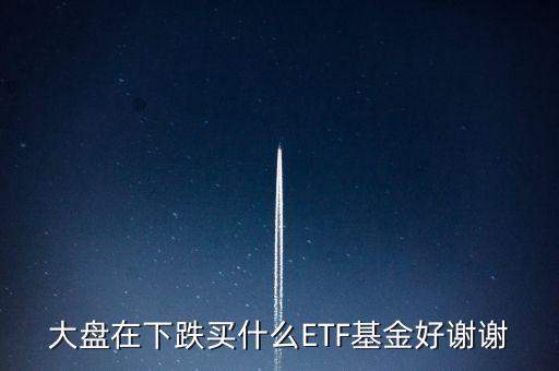 大盤在下跌買什么ETF基金好謝謝