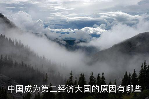 中國(guó)成為第二經(jīng)濟(jì)大國(guó)的原因有哪些
