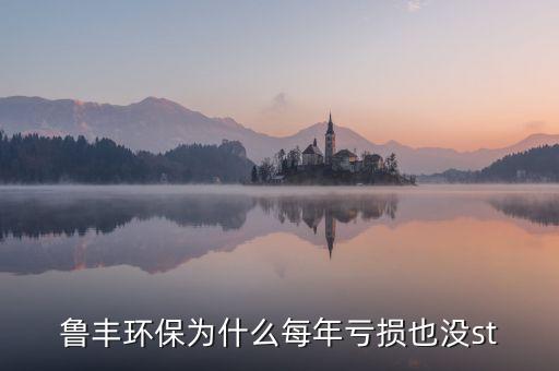 魯豐環(huán)保為什么每年虧損也沒st