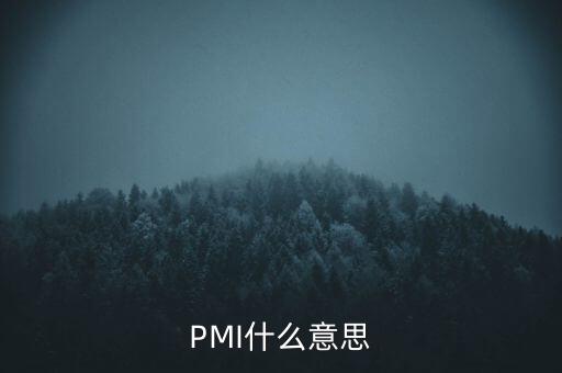 pmi反映什么，PMI什么意思