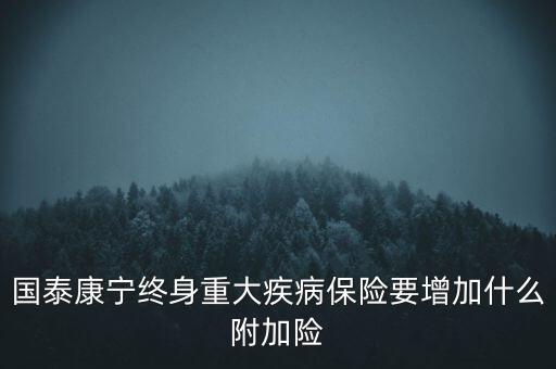國泰康寧終身重大疾病保險要增加什么附加險