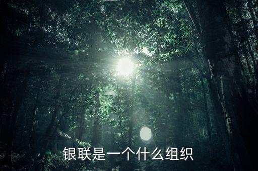 世界銀聯(lián)是什么組織，世界銀聯(lián)是個什么組織