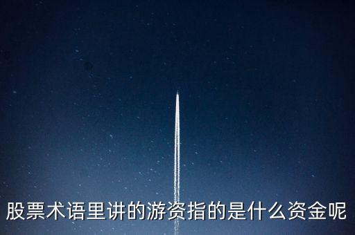 股票術語里講的游資指的是什么資金呢