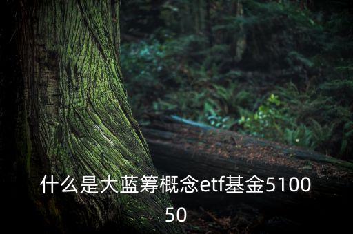 什么是大藍籌概念etf基金510050
