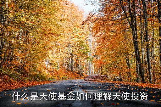 什么是天使基金如何理解天使投資