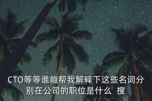 首席投資官是什么職位，CEO的職業(yè)是什么風(fēng)投又是什么有知道的詳細(xì)解釋一下好嗎
