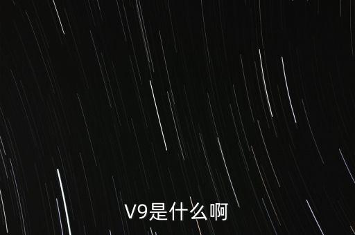 瀘州貢酒v9什么意思，V9是什么啊