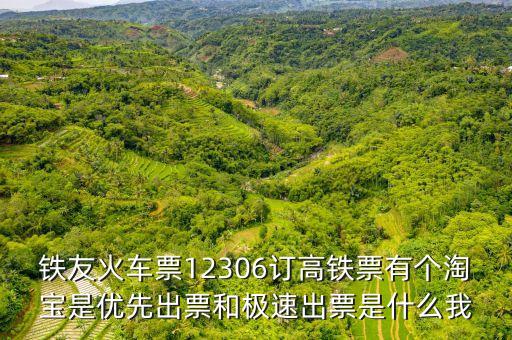 鐵友火車票12306訂高鐵票有個淘寶是優(yōu)先出票和極速出票是什么我