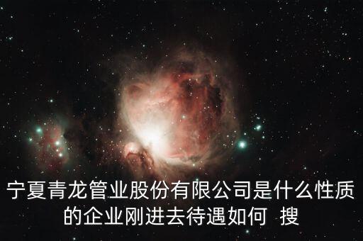 寧夏青龍管業(yè)股份有限公司是什么性質(zhì)的企業(yè)剛進去待遇如何  搜
