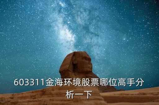 603311金海環(huán)境股票哪位高手分析一下