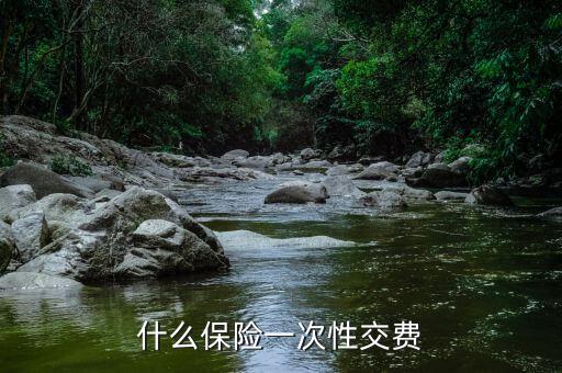 什么保險一次性交費