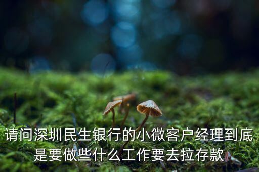 請問深圳民生銀行的小微客戶經(jīng)理到底是要做些什么工作要去拉存款