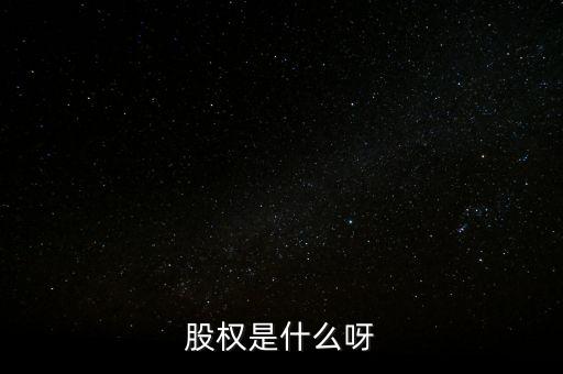 股權(quán)是什么呀