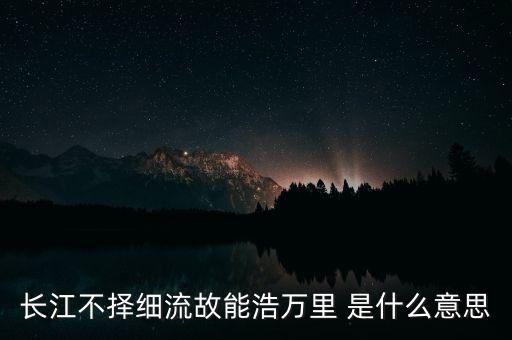 長江不擇細流故能浩萬里 是什么意思
