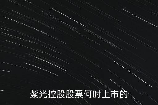 紫光控股股票何時上市的