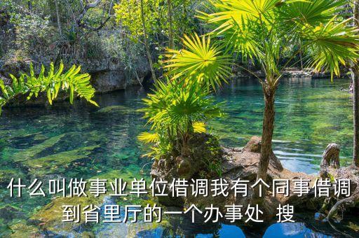 什么叫做事業(yè)單位借調(diào)我有個同事借調(diào)到省里廳的一個辦事處  搜
