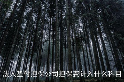 什么是法人墊款，法人代墊款的分錄需有什么附件嗎