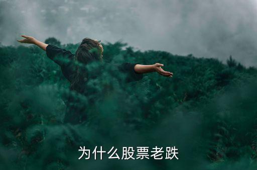 為什么股票老跌
