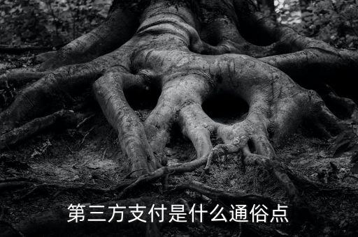 第三方支付是什么通俗點