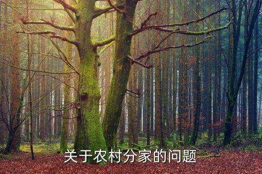 關(guān)于農(nóng)村分家的問題